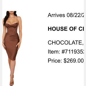 Chocolate Brown Bodycon Dress